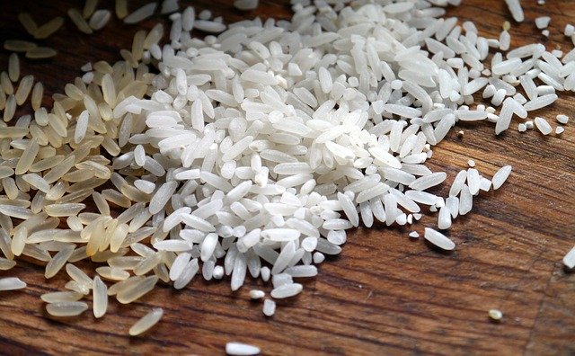 syrová a vařená rýže